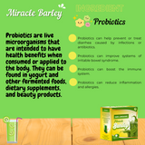 Miracle Barley 210g