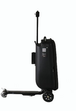 ELECTRIC SCOOTER LUGGAGE BAGS