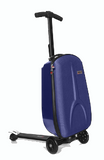 ELECTRIC SCOOTER LUGGAGE BAGS