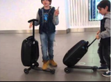 ELECTRIC SCOOTER LUGGAGE BAGS